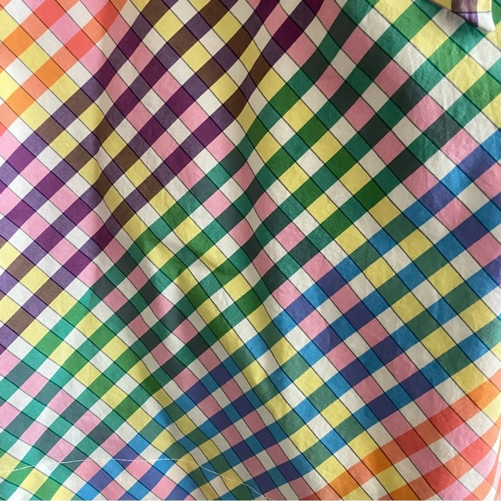 J. Crew Tie Neck Rainbow Gingham Dress - 4